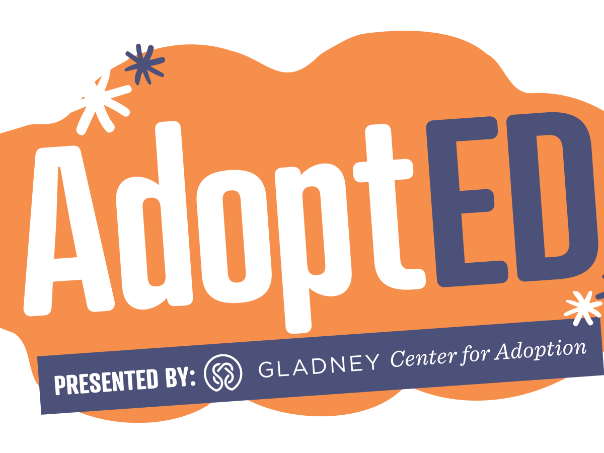 Adoption Education in Schools and Hospitals: The AdoptED&nbsp;Program